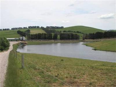 422 ACRES DAIRY IN HIGH RAINFALL LOCATION/FISH CREEK Picture