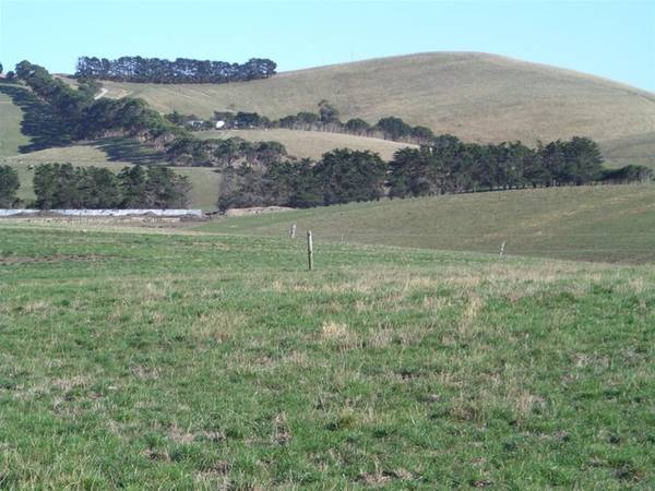 422 ACRES DAIRY IN HIGH RAINFALL LOCATION/FISH CREEK Picture 2