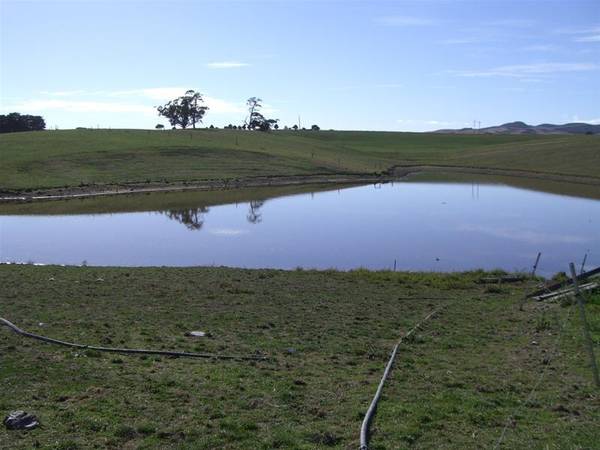 422 ACRES DAIRY IN HIGH RAINFALL LOCATION/FISH CREEK Picture 3