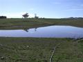 422 ACRES DAIRY IN HIGH RAINFALL LOCATION/FISH CREEK Picture
