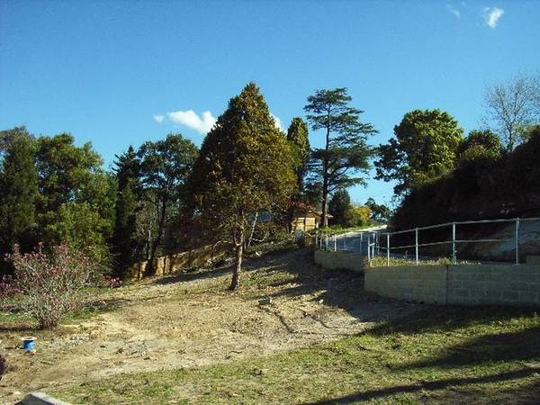 Rare Land Opportunity Picture 1