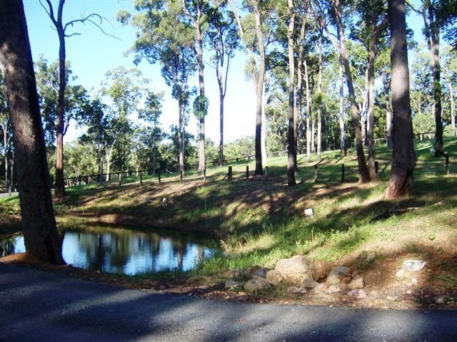Luxury Living in a Large Modern Queenslander Artchitect Designer Home on Magificicently Landscaped Gardens Picture 2