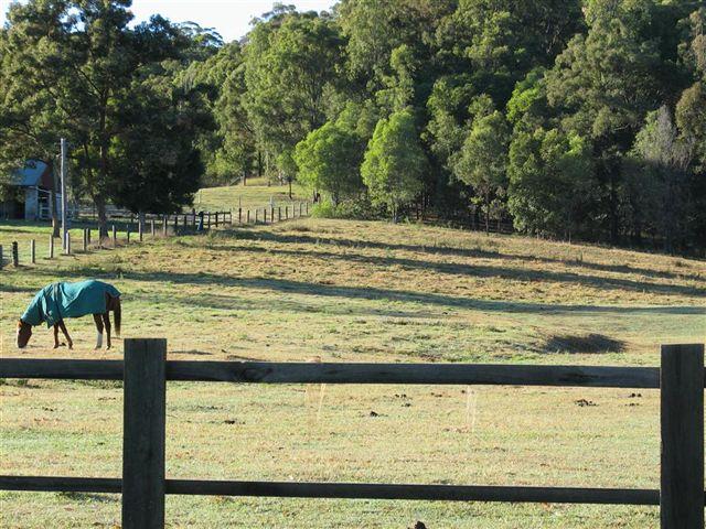 Willow Vale - Build Your Dream Home - Rent the Other Picture 2