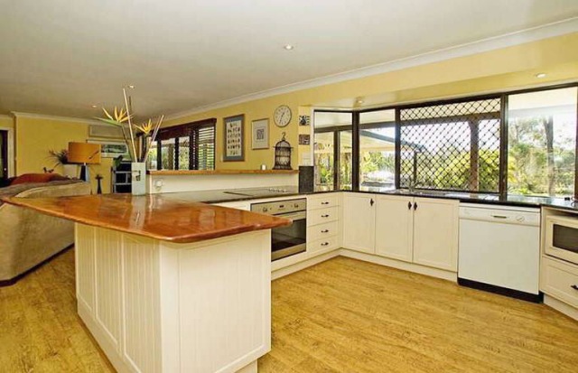 What More Could You Want!! Picture