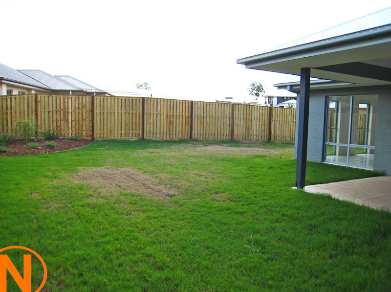 Brand New in Jacobs Ridge Picture 3