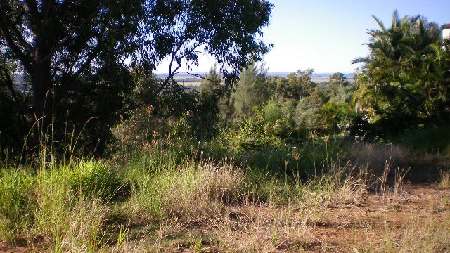 SURREAL VIEWS Picture 2