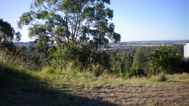 SURREAL VIEWS Picture 3