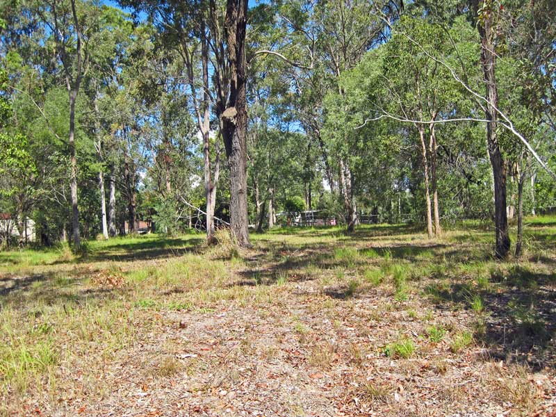 VACANT LAND Picture 3