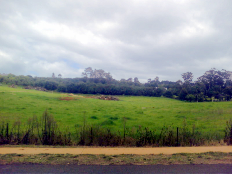 2 1/2 Acres of Prime Land Picture 2