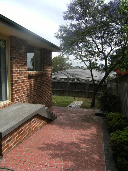 IMMACULATE PRESENTATION Picture IMMACULATE PRESENTATION Picture