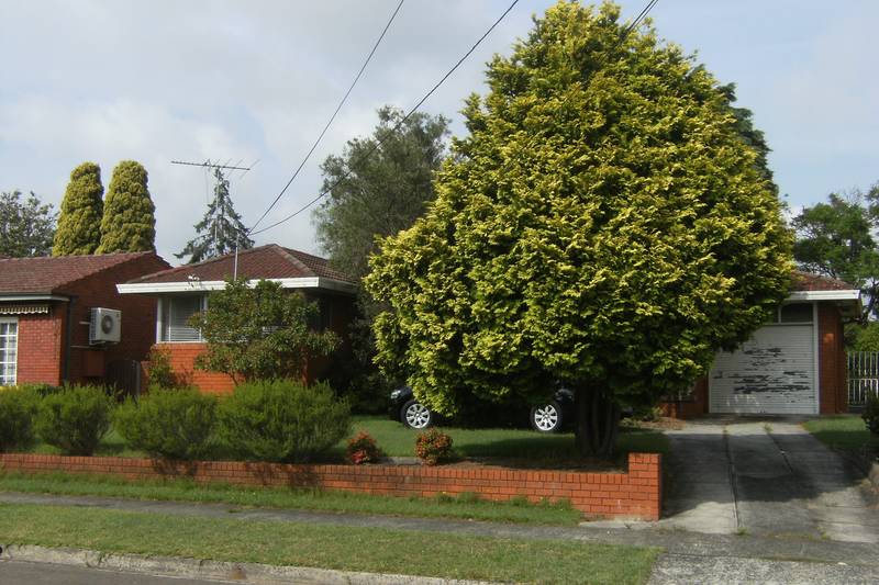 Charming Home - Dog Friendly Picture Charming Home - Dog Friendly Picture