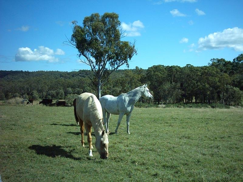 COUNTRY LIFE .... CITY AMENITIES Picture 3