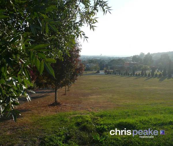 BERWICK AT IT'S BEST Picture 3