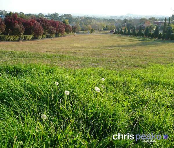 BERWICK AT IT'S BEST Picture 1