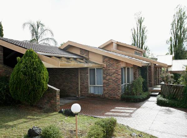 POTENTIAL PLUS Picture 1