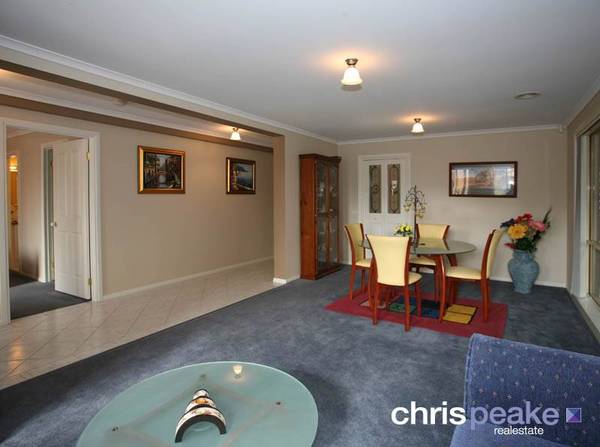 YOUR PRIDE AND JOY! Picture 2