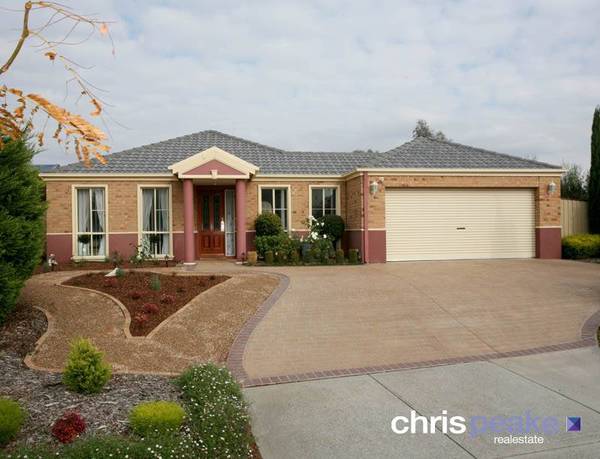 YOUR PRIDE AND JOY! Picture 1