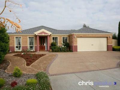 YOUR PRIDE AND JOY! Picture YOUR PRIDE AND JOY! Picture