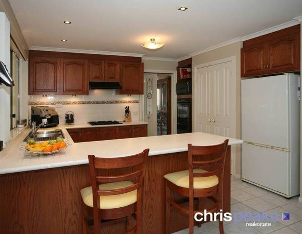 YOUR PRIDE AND JOY! Picture 3