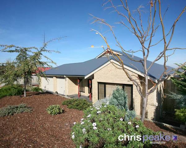 TRIPLE GARAGE PLUS ONE Picture 1