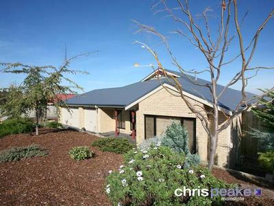 TRIPLE GARAGE PLUS ONE Picture