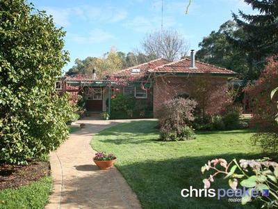 THE CHARM IS HARD TO IGNORE Picture