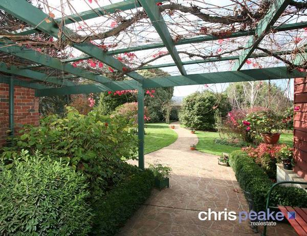 THE CHARM IS HARD TO IGNORE Picture 2