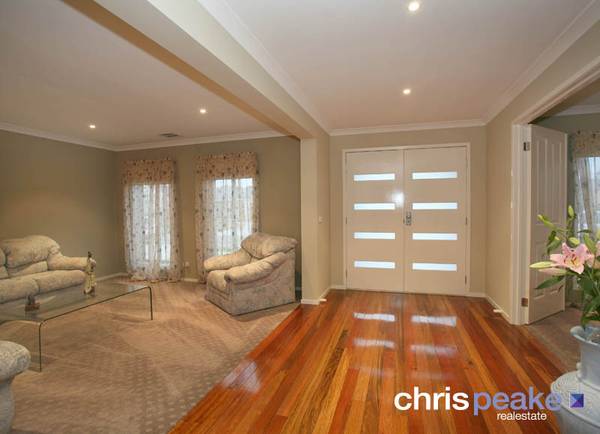 GRAND ILLUSIONS! Picture GRAND ILLUSIONS! Picture