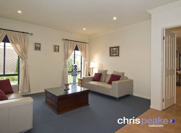 OPEN LIVING LIFESTYLE Picture 2