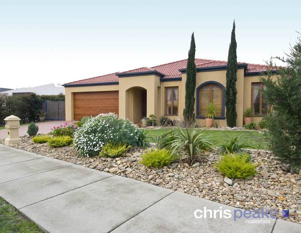 OPEN LIVING LIFESTYLE Picture 1