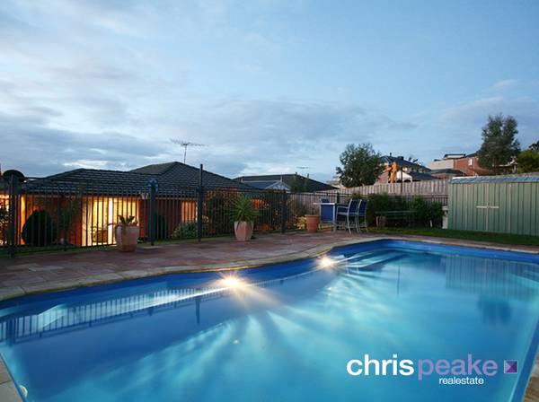 ELEGANT DISTINCTION Picture