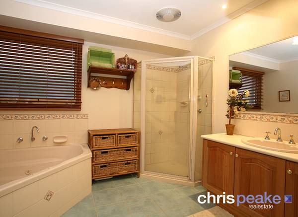 ELEGANT DISTINCTION Picture