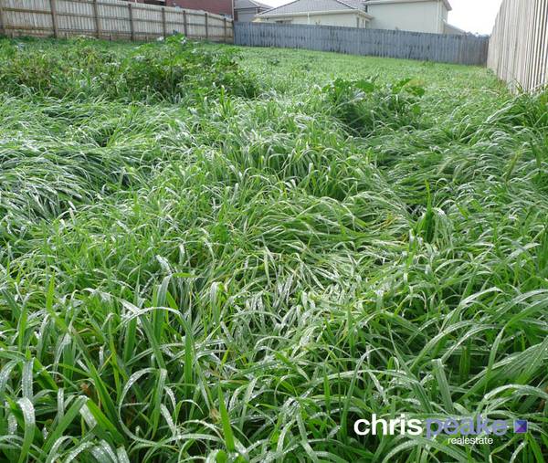 THE CENTRE OF ATTENTION Picture