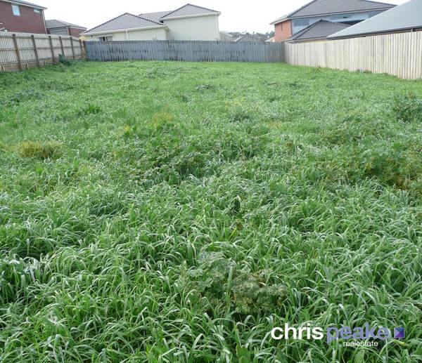 THE CENTRE OF ATTENTION Picture