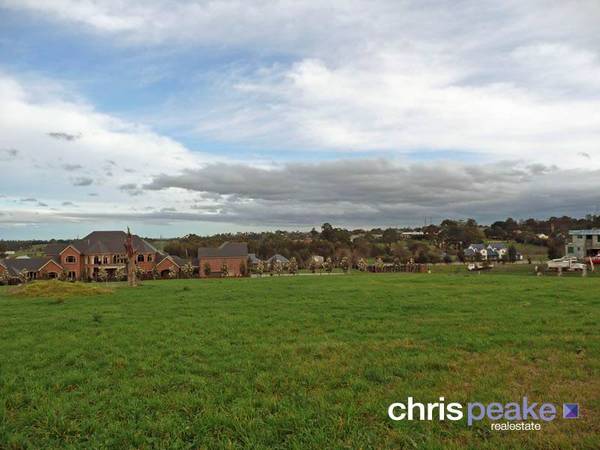 A RARE JEWELL Picture