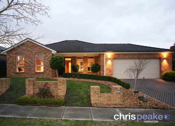 PERFECTION FROM FRONT TO BACK! Picture 1