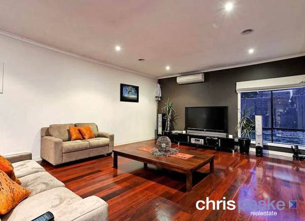 TROPICAL TREASURE Picture TROPICAL TREASURE Picture