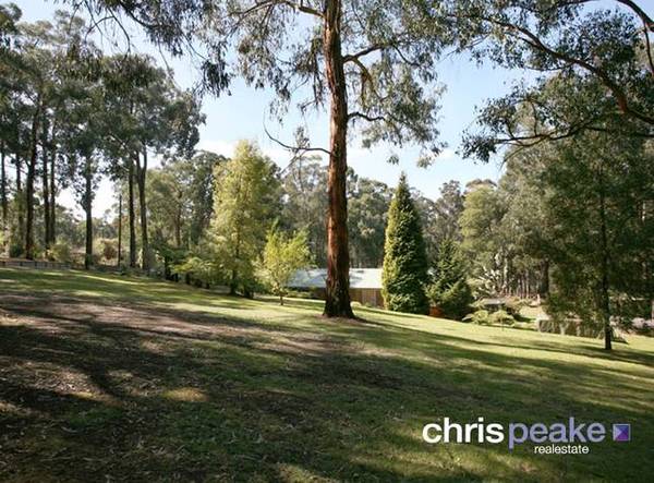 PRIVATE OASIS ON 7 ACRES Picture 3