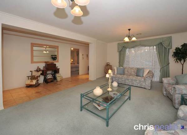 FULL OF SURPRISES! Picture 2