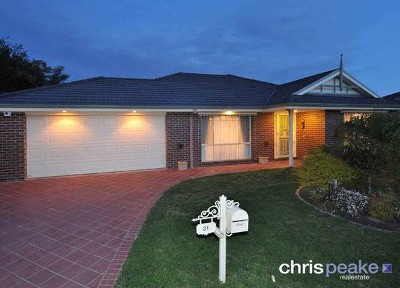 FULL OF SURPRISES! Picture