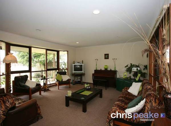 WHAT A PACKAGE! Picture