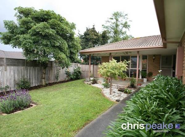 WHAT A PACKAGE! Picture