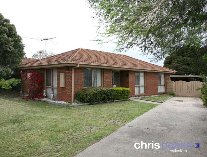 GRAB THIS NOW! Picture 1