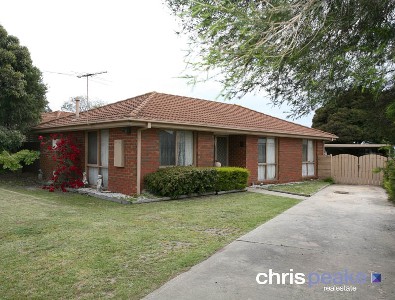 GRAB THIS NOW! Picture