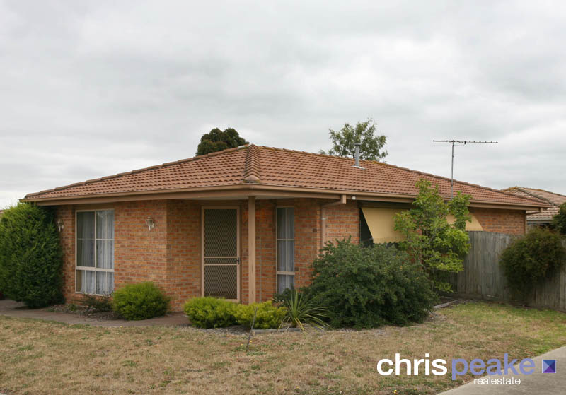 PREMIUM OPPORTUNITY Picture 1