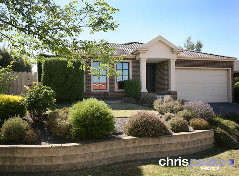 SPLASH INTO SUMMER! Picture 1