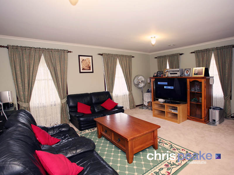 GOLDEN OPPORTUNITY Picture 2