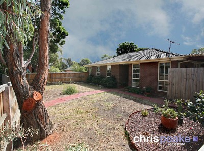 SURPRISE PACKAGE! Picture