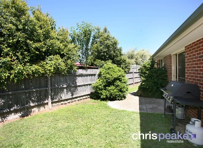 SIX OF ONE, HALF A DOZEN OF THE OTHER Picture