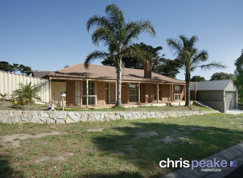 THE CENTRE OF CONVENIENCE Picture 1